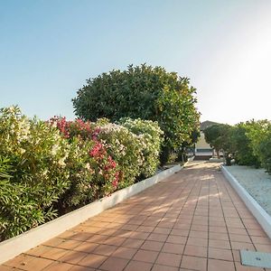 Royal Playa Suite And Apartament -Private Parking- Self Chek Out